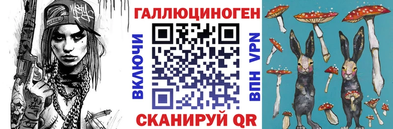 Галлюциногенные грибы Psilocybine cubensis  Инсар 